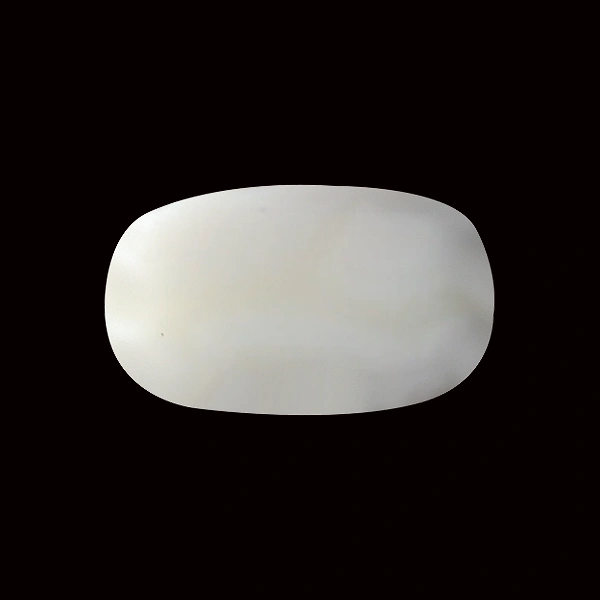 White Coral - 3.79 carats